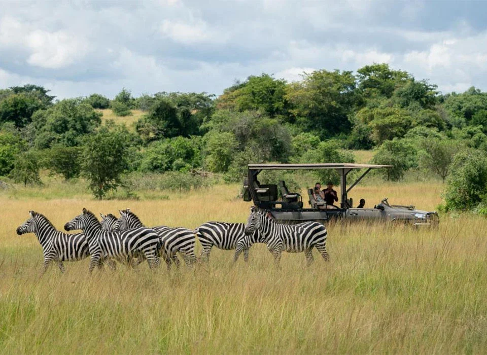 The Cost of a 2-Day Akagera Safari: Prices, Inclusions and Booking Guide