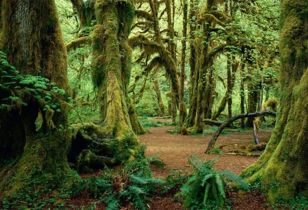 Explore Kigwena Nature Landscapes