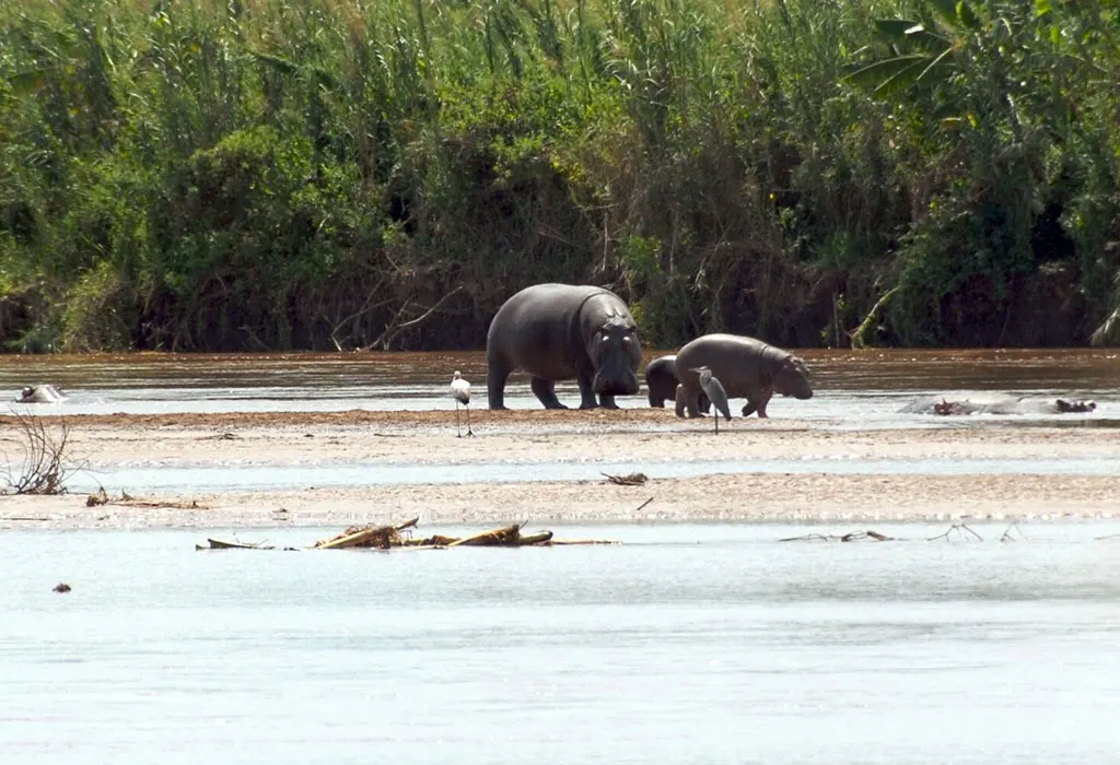 Explore-Rusizi-National-Park
