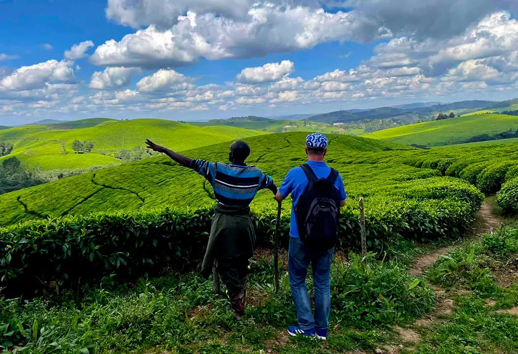 Explore Teza Tea Plantations