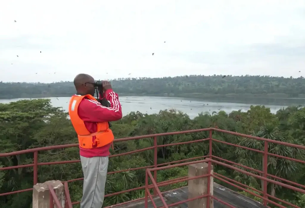 Go Birdwatching at Lake Rwihinda
