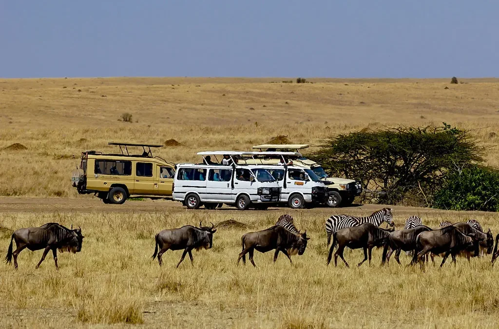 Kenya and Uganda Safari Gorillas, Big Five & the Best Itineraries