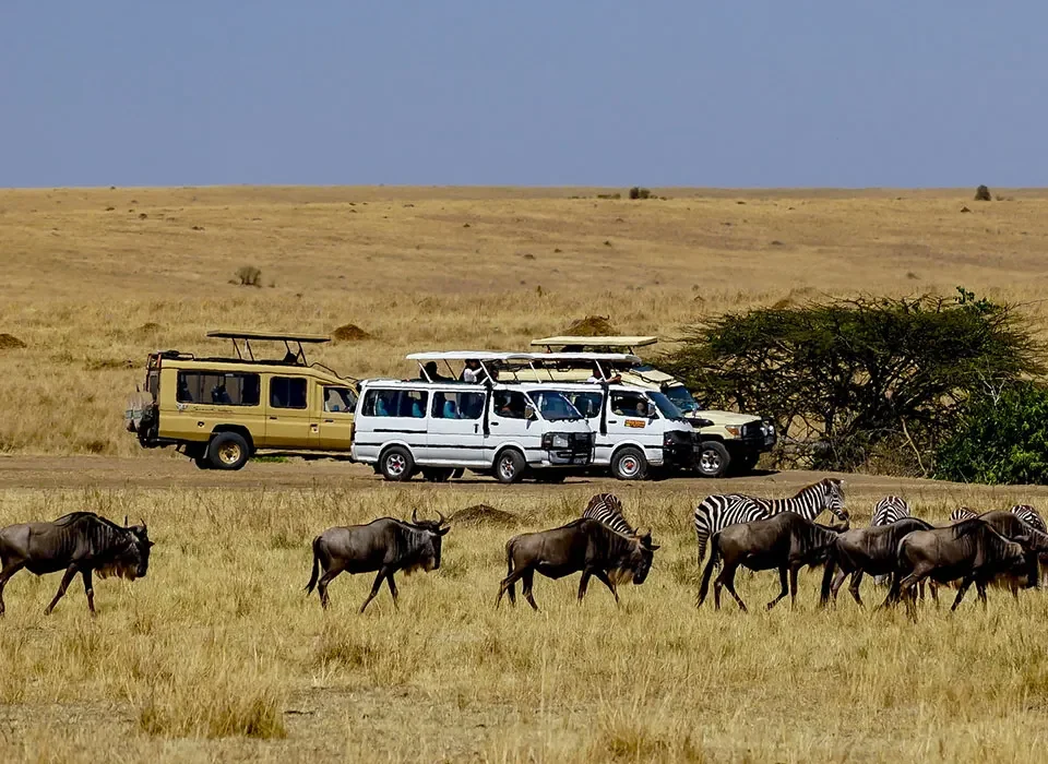 Kenya and Uganda Safari Gorillas, Big Five & the Best Itineraries