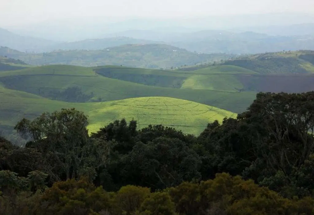 Kibira-National-Park