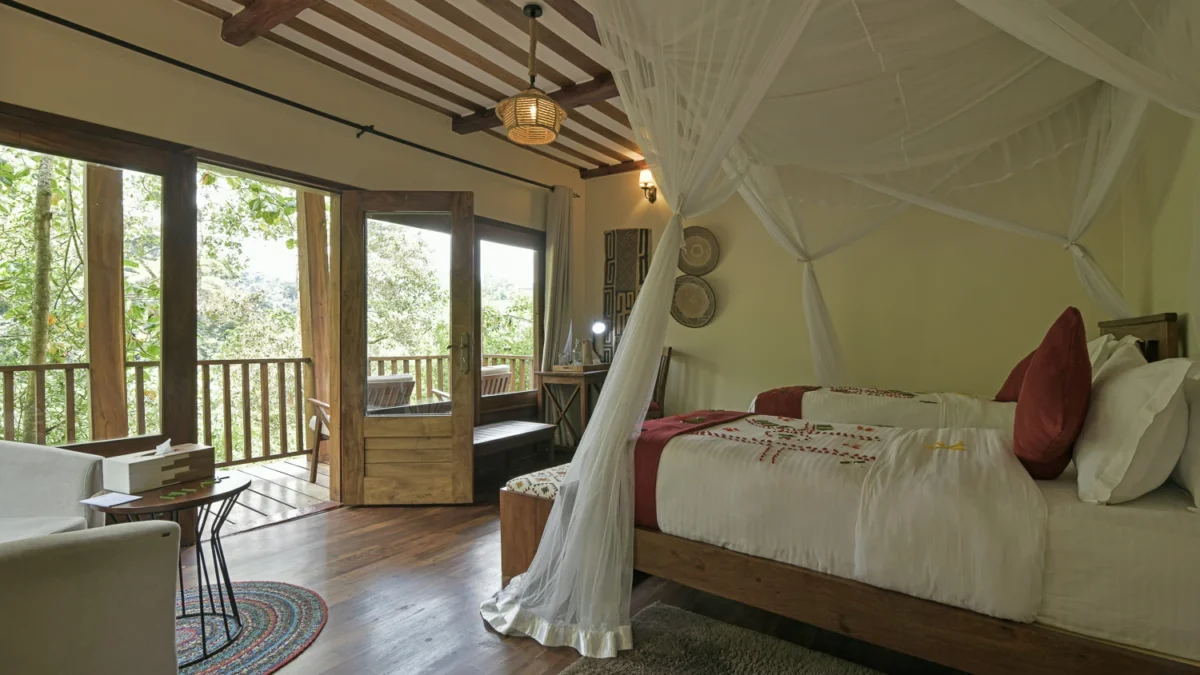 Luxury Gorilla Safari to Bwindi: Best 4-Day Road and Fly-In Packages