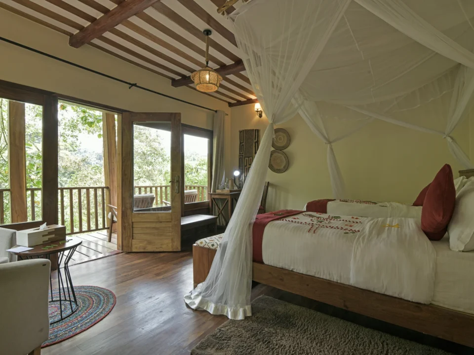 Luxury Gorilla Safari to Bwindi: Best 4-Day Road and Fly-In Packages