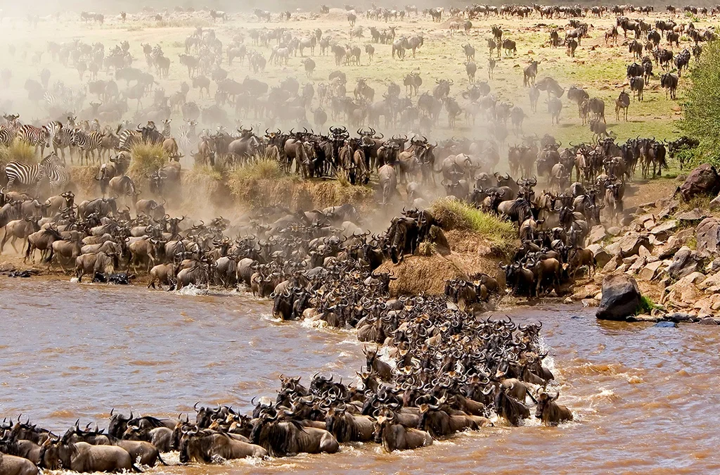 Uganda and Tanzania Safari