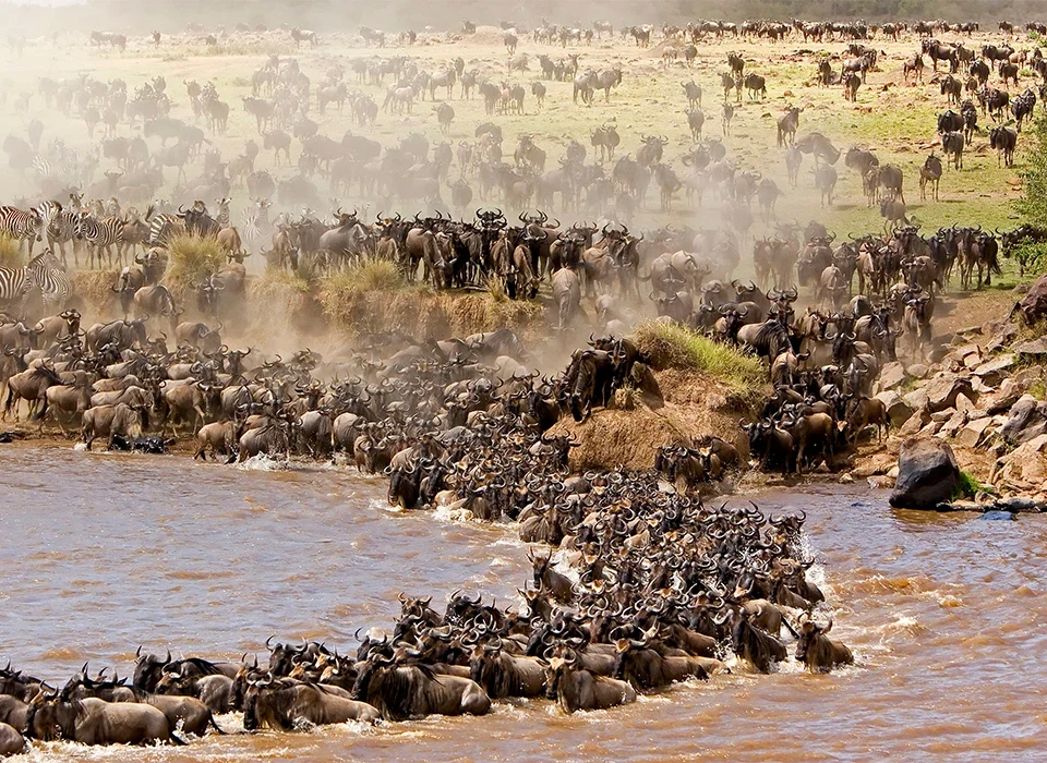 Uganda and Tanzania Safari